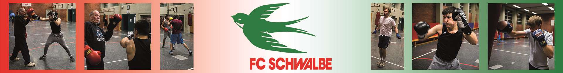 Boxen FC Schwalbe Hannover